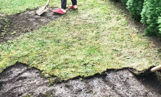 Снятие дерна старого газона в Ломоносове – от 522 руб. | ГОСТСТРОЙ